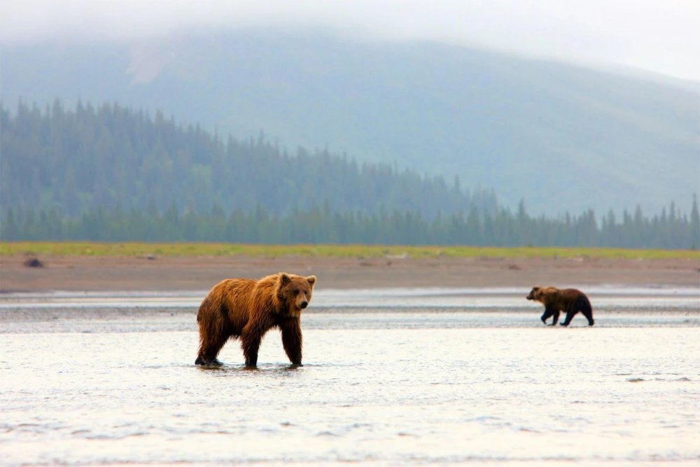 Lake Clark National Park