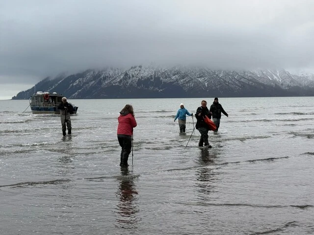Bear Viewing in Alaksa
