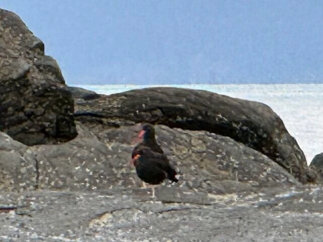 Tours in Alaska