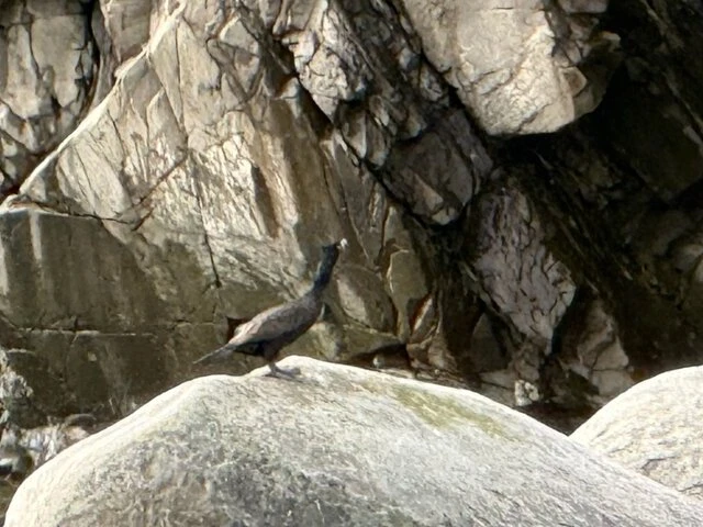 Tours in Alaska