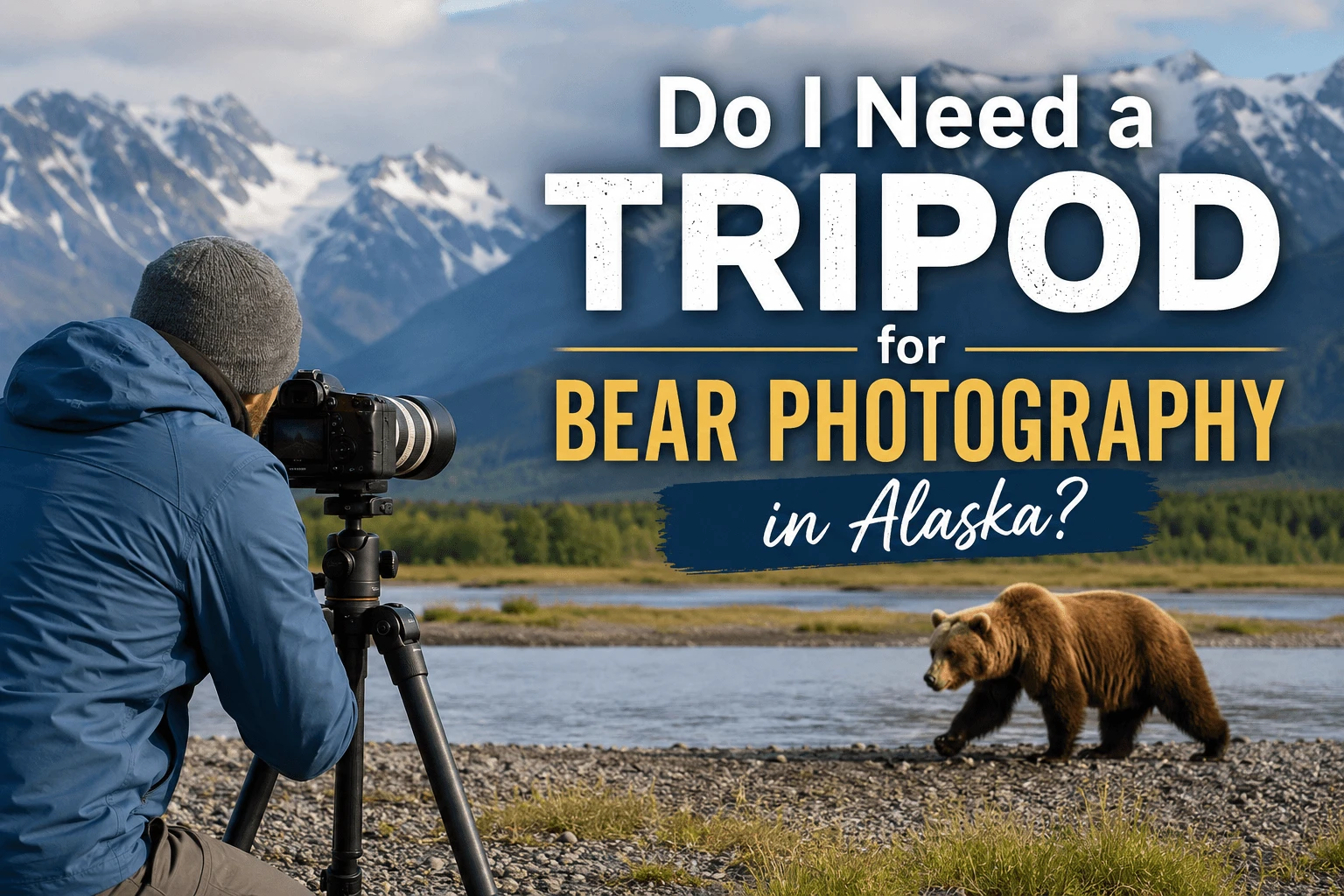 Bear Photography in Alaska