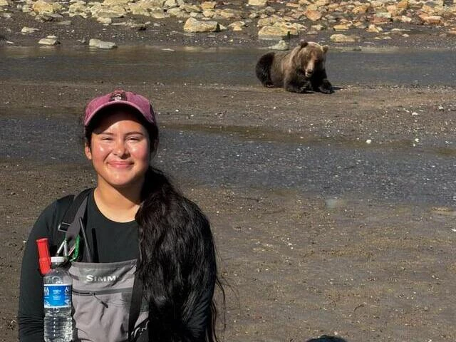 Bear Viewing in Alaska